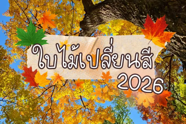 ใบไม้เปลี่ยนสีในจีน 2026 12 จุดที่สวยที่สุด ไปเดือนไหนถึงทัน